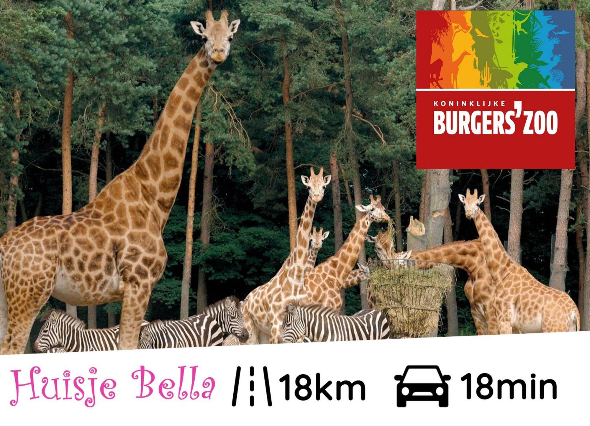 Chalet Huisje Bella Op De Veluwe Max 2 Volwassene ベークベーゲン エクステリア 写真
