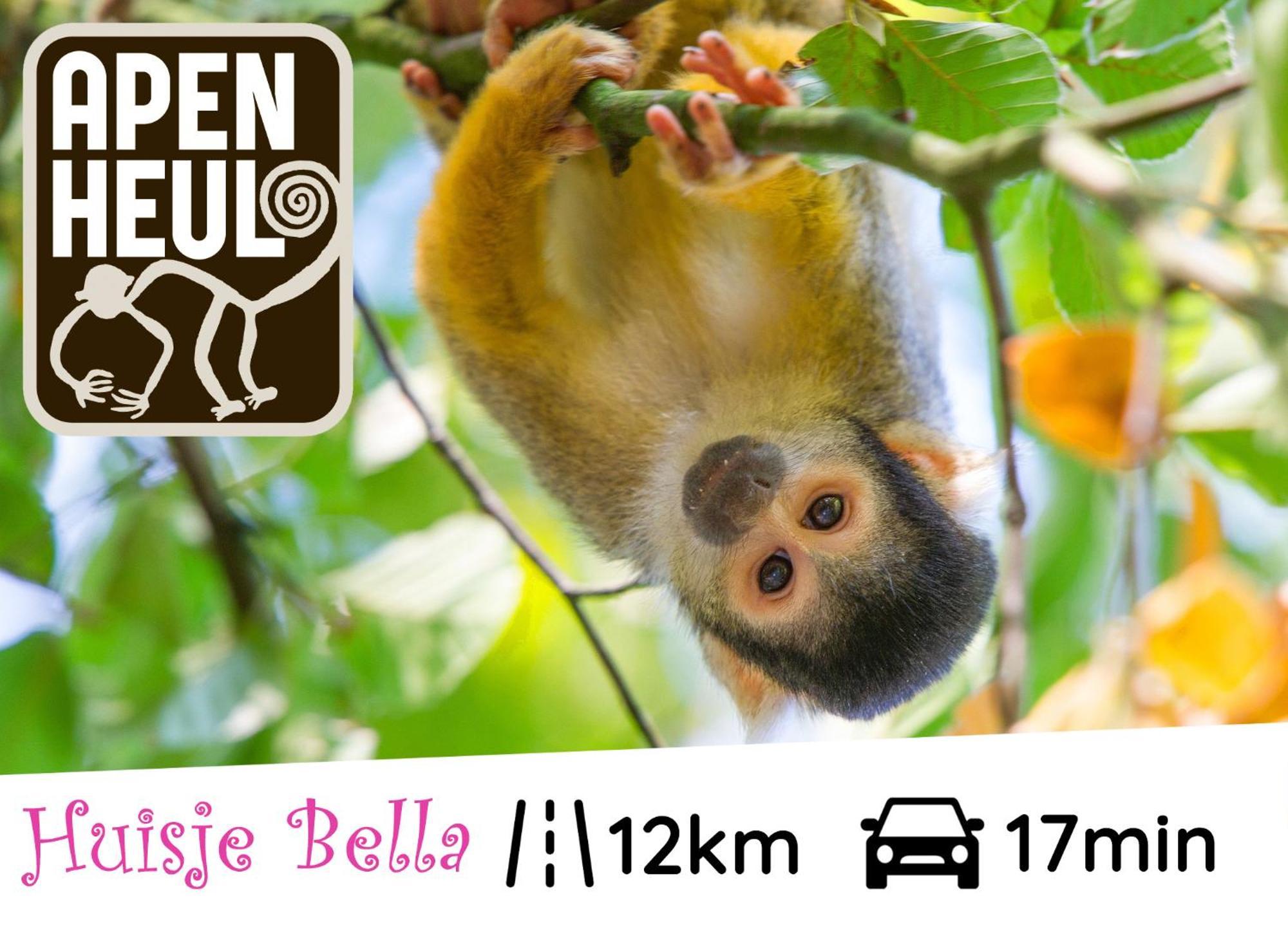 Chalet Huisje Bella Op De Veluwe Max 2 Volwassene ベークベーゲン エクステリア 写真
